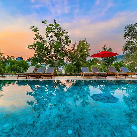 Elizya Boutique فندق *