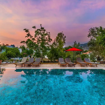 فندق Elizya Boutique السليمية