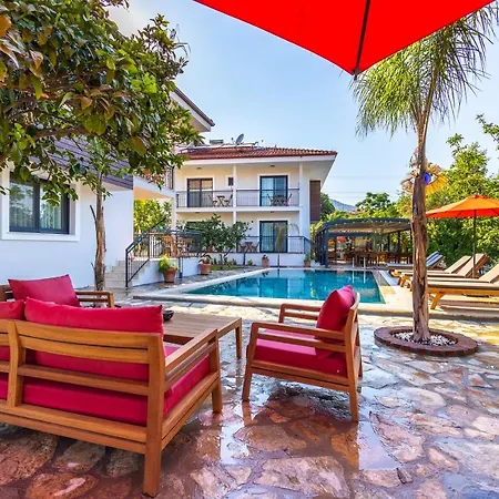 Elizya Boutique فندق