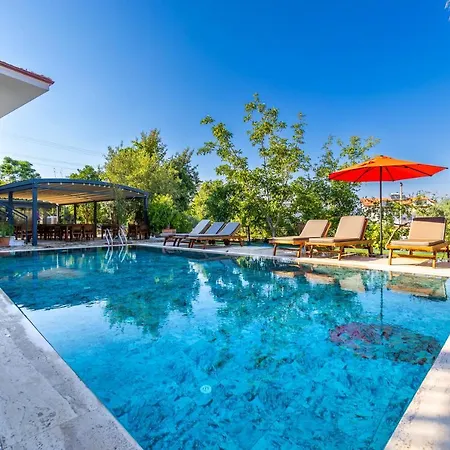 فندق Elizya Boutique *