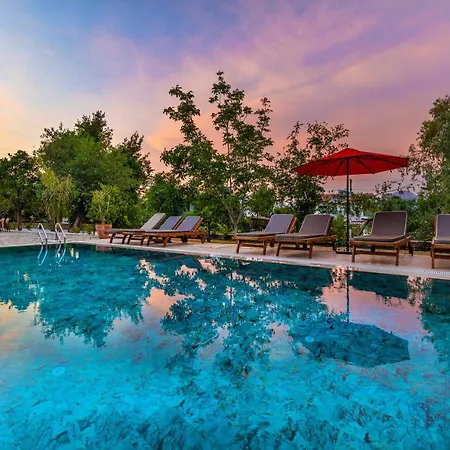 Elizya Boutique فندق