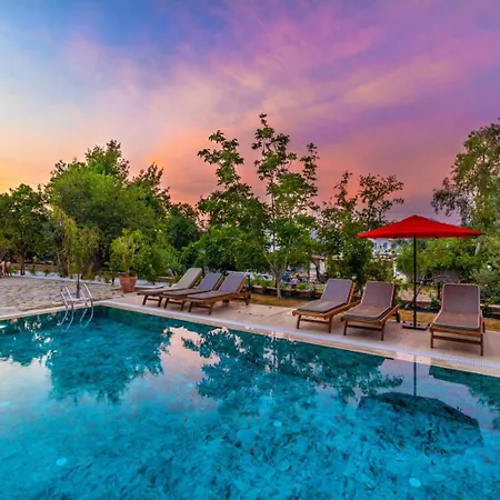 Elizya Boutique * סלימייה